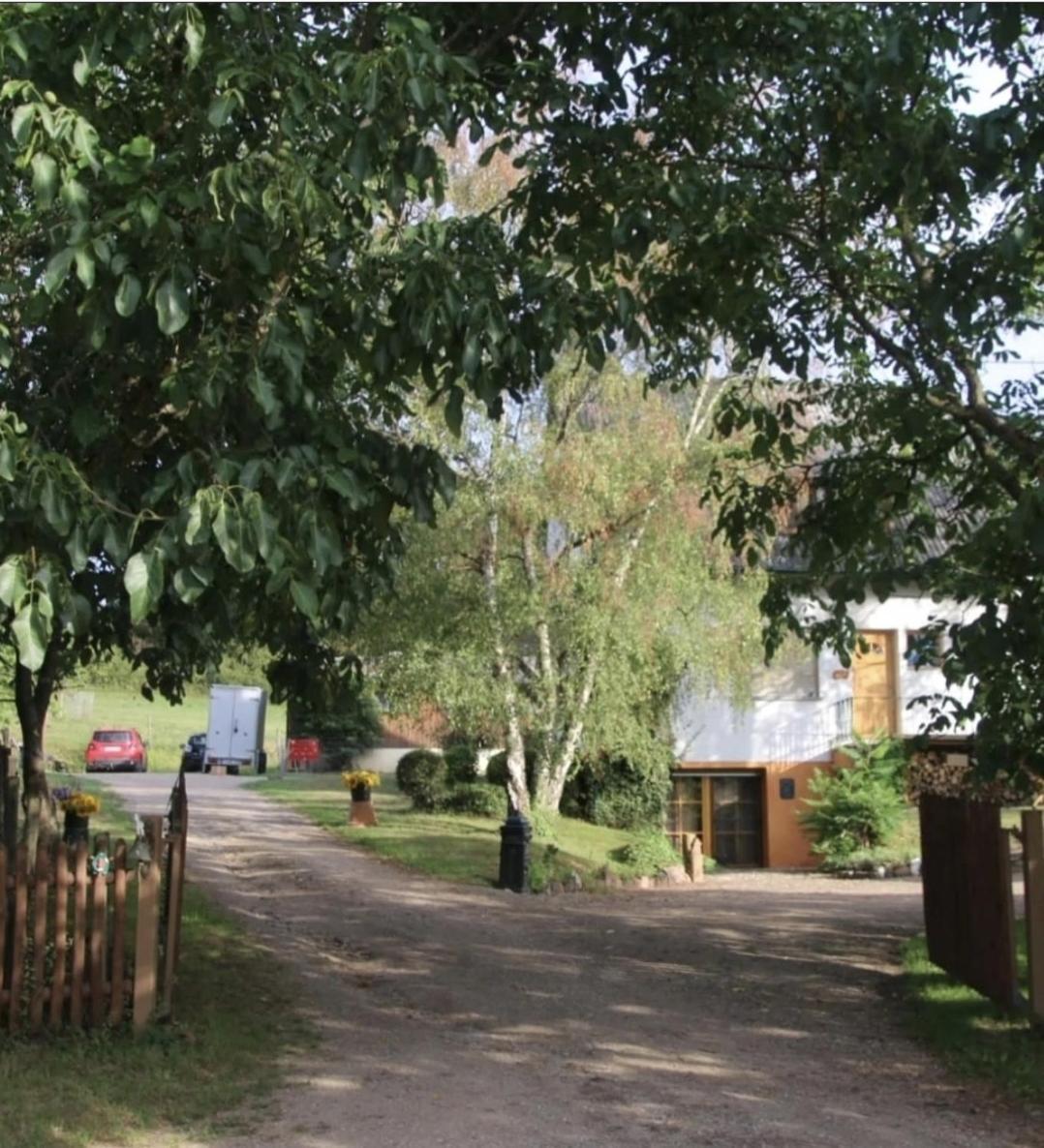 Sometimes Zimmer Gehaichnishof 7Born Maring-Noviand Zewnętrze zdjęcie